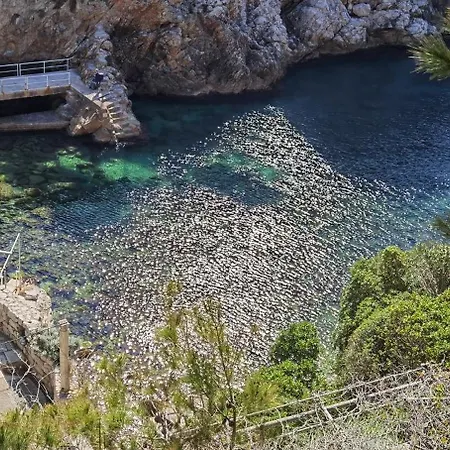 Francesko Near Old Town